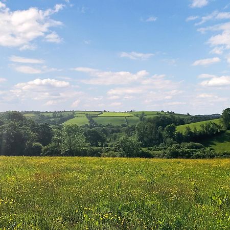 Willa Ynywsen Dairy Flat Llanfynydd Zewnętrze zdjęcie