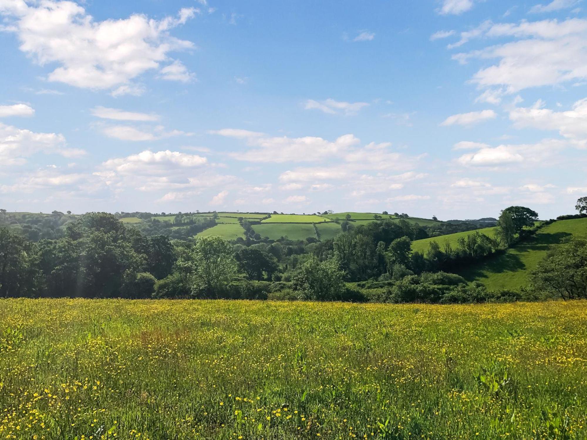 Willa Ynywsen Dairy Flat Llanfynydd Zewnętrze zdjęcie